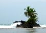 Panama: Palme auf Insel